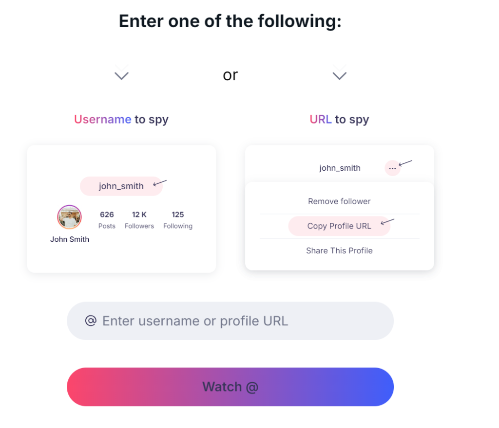 input the target account’s username or profile URL
